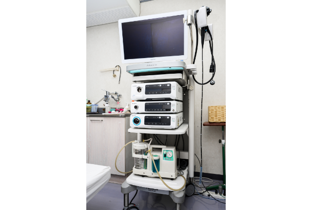 内視鏡検査システム